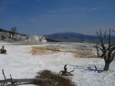 Mammoth Hot Springs